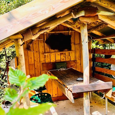 La Cabane Perchee Du Trappeur Ecrainville Ngoại thất bức ảnh