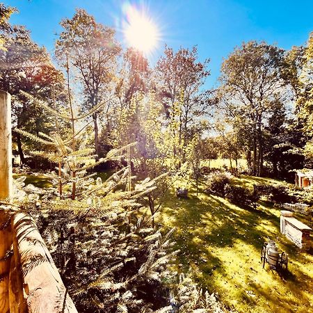 La Cabane Perchee Du Trappeur Ecrainville Ngoại thất bức ảnh