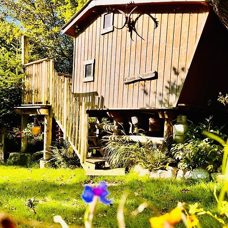 La Cabane Perchee Du Trappeur Ecrainville Ngoại thất bức ảnh