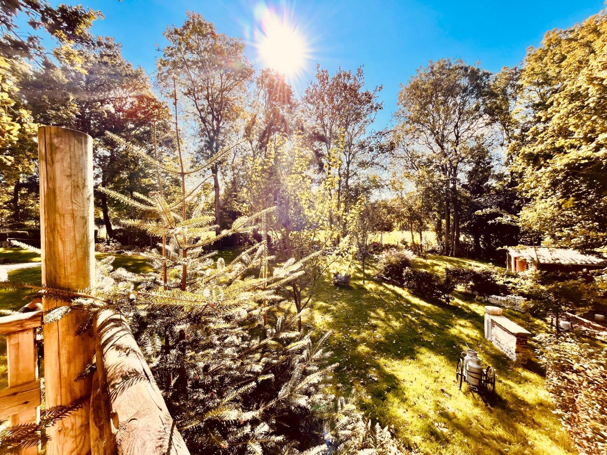 La Cabane Perchee Du Trappeur Ecrainville Ngoại thất bức ảnh